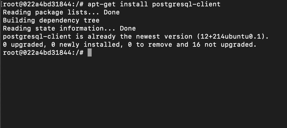 apt-get install Postgres Client